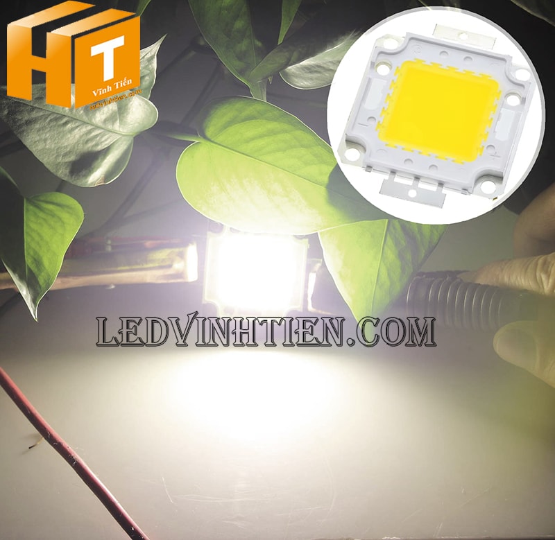 Chip led 50W màu trung tính siêu sáng