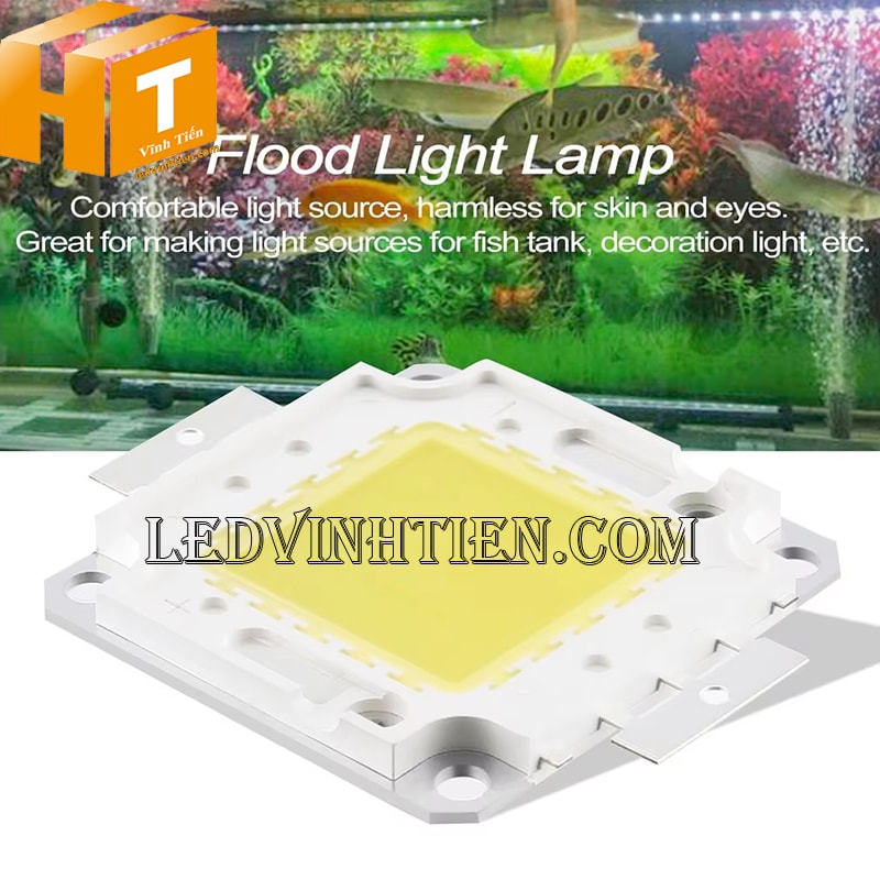 Tim đèn pha 50W màu vàng siêu sáng