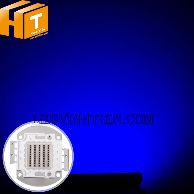 Chip led 50W cob màu xanh dương