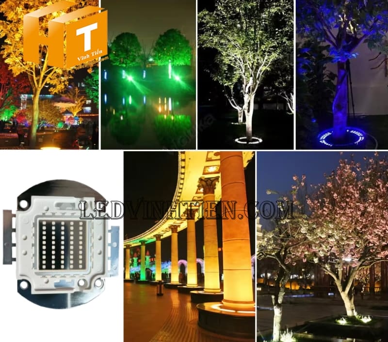 Chip led cob 50W màu xanh lá