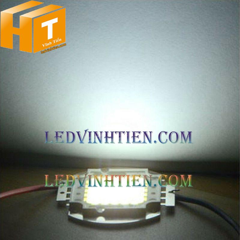 Tim đèn pha led 10w màu trắng