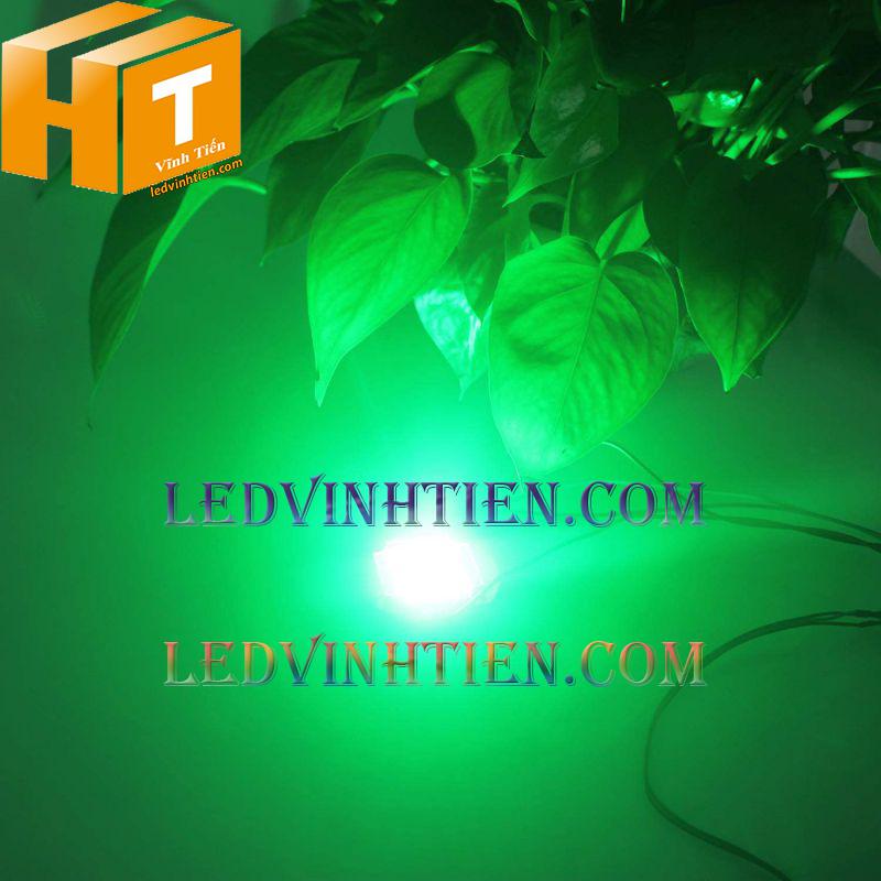 Mua tim đèn pha led chính hãng