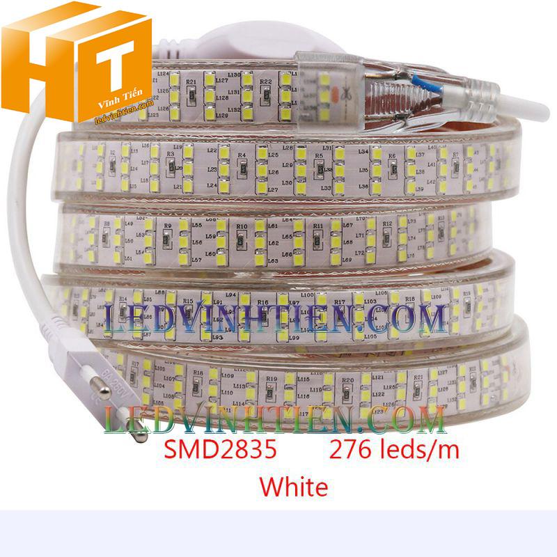 Bán đèn led dây 220v quấn cây