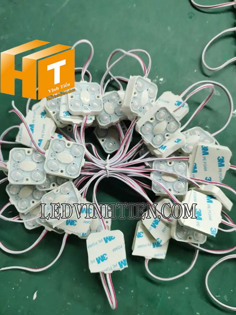 Led module 4 bóng 220V