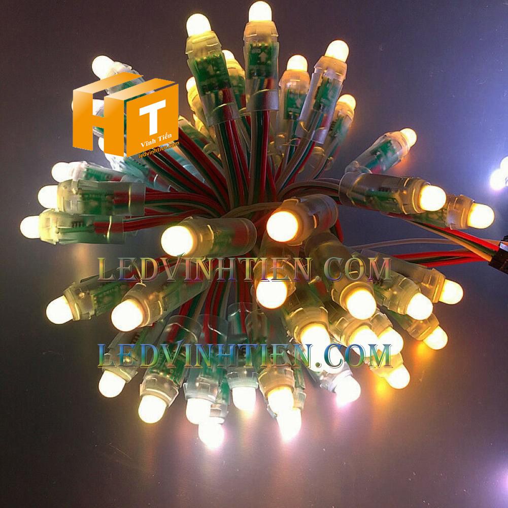 Led đúc full color IC1914 loại tốt, giá rẻ, siêu sáng, dùng làm pháo hoa, chử nỗi, trang trí noel, bảng quảng cáo, chiếu sáng ngoài trời, IP68, ledvinhtien.com