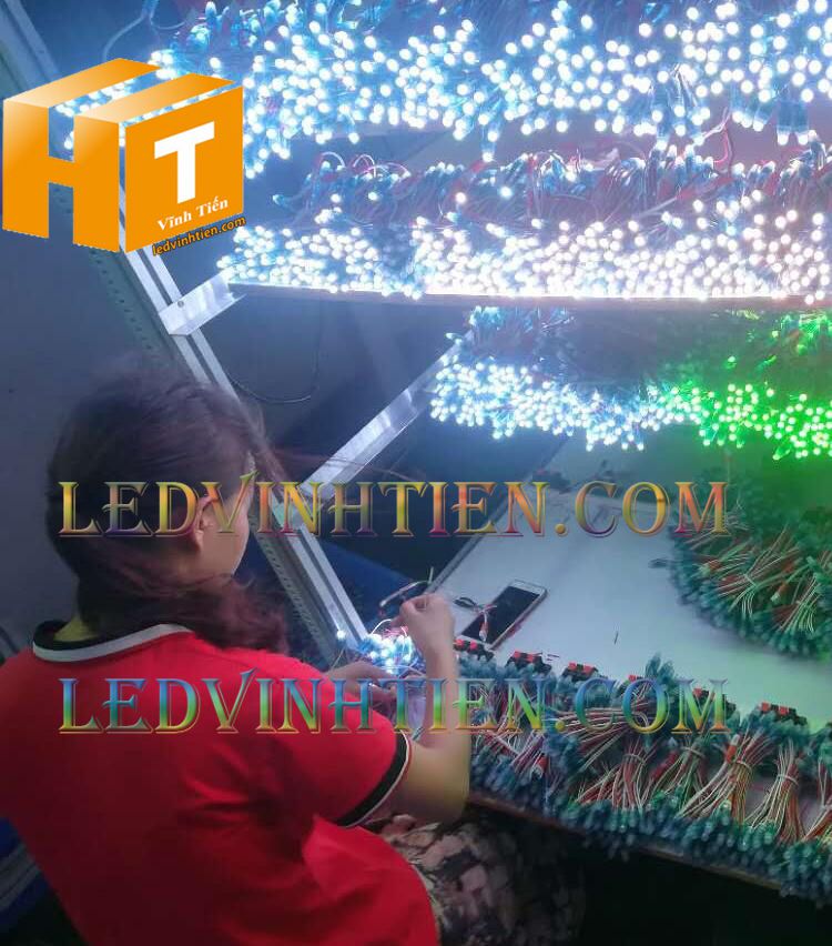 Led full color IC2811 loại tốt, giá rẻ, siêu sáng, dùng làm pháo hoa, chử nỗi, trang trí noel, bảng quảng cáo, chiếu sáng ngoài trời, IP68, ledvinhtien.com