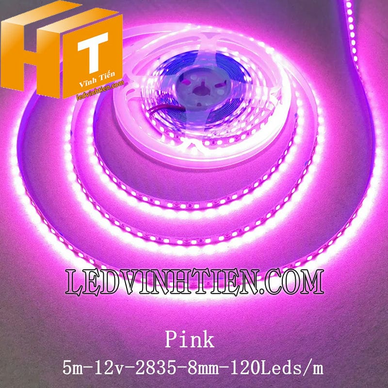 Đèn led dây 12V 2835 màu hồng