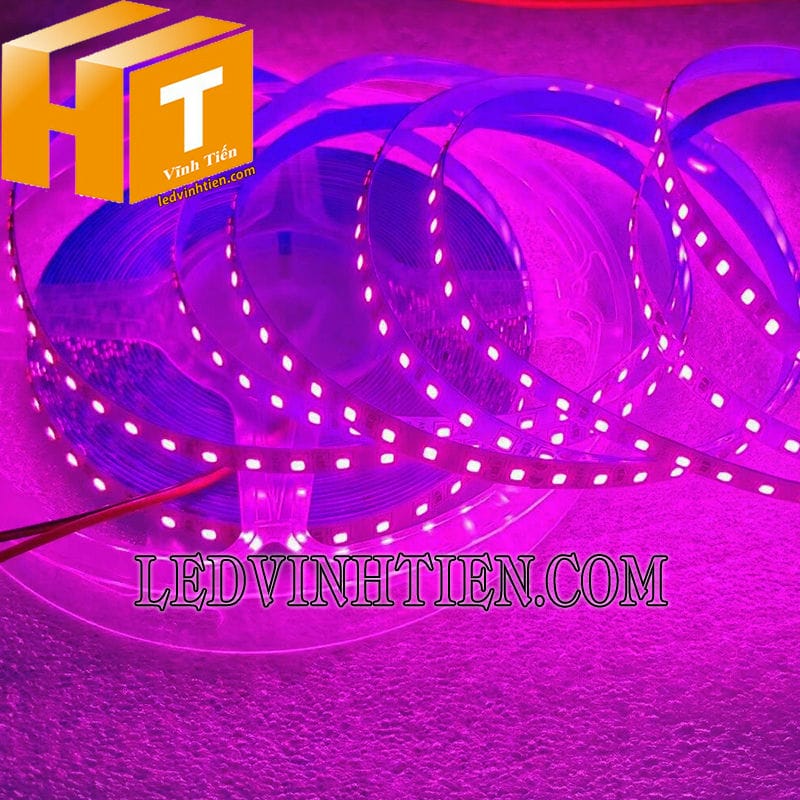 Đèn led dây 2835 ánh sáng màu hồng