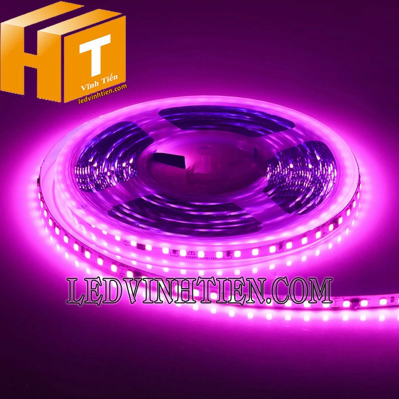 Đèn led dây dán 2835 dùng điện 12V màu hồng