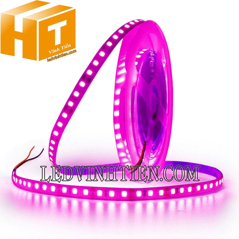 Led dây dán 2835 ánh sáng màu hồng