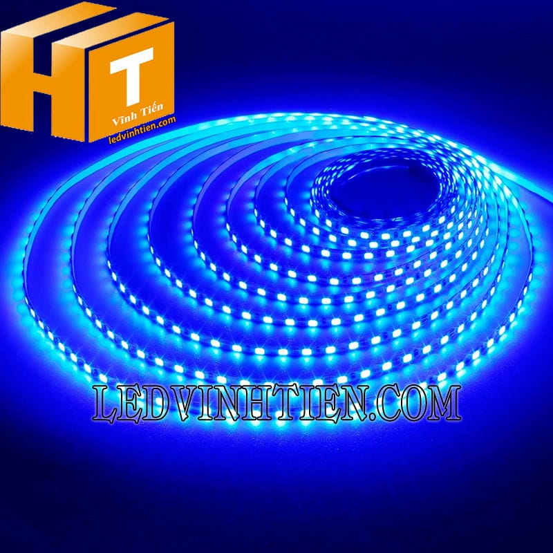 Led dây 2835 12V màu xanh dương giá rẻ