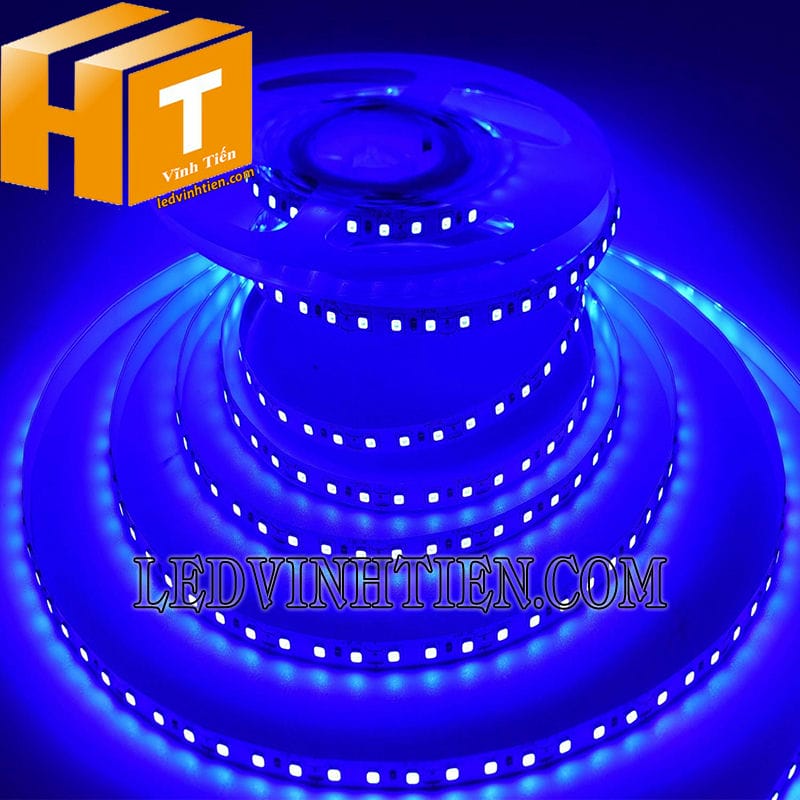 Led dây dán 12V 2835 ánh sáng xanh dương