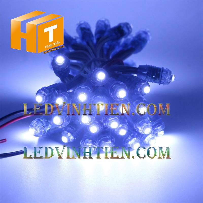 Led đúc F8 đế 12mm đầu trong 5V màu trắng loại tốt, giá rẻ, siêu sáng, dây đồng, dùng hắt chử, logo quảng cáo tại tuy hòa phú yên