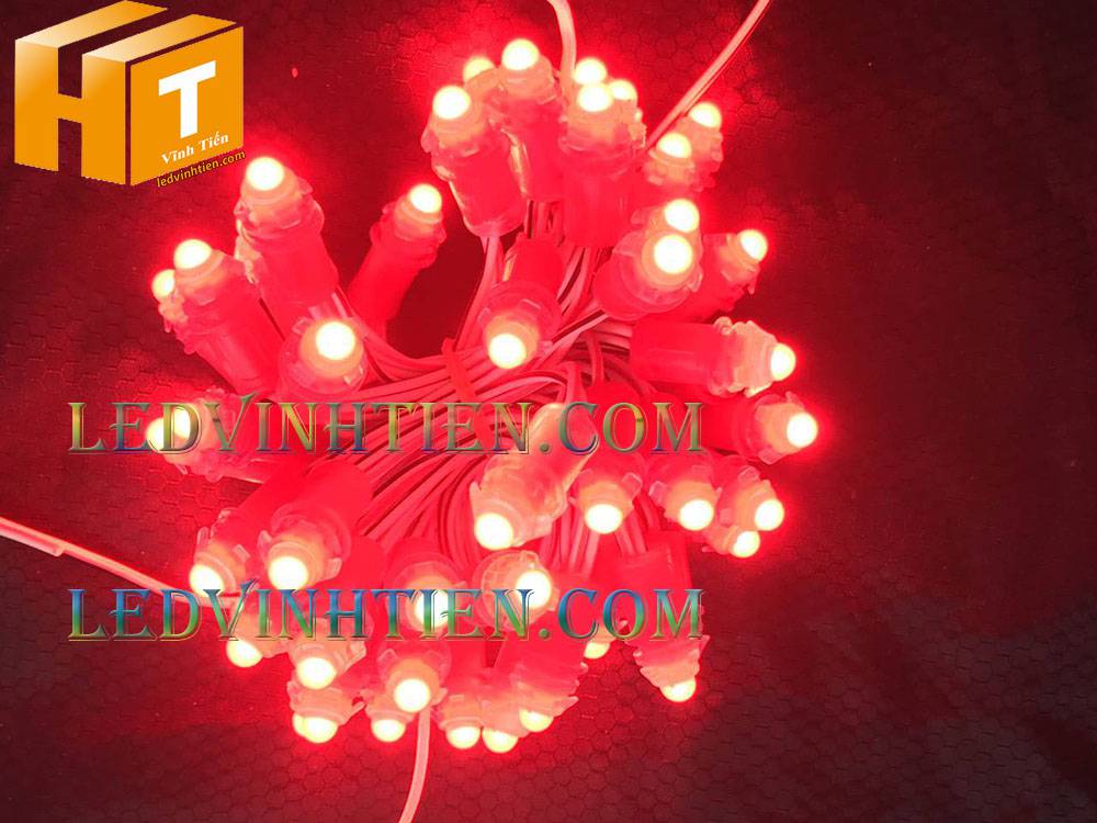 Bóng led đúc F5 đế 9mm 12V đầu đục màu đỏ, IP68, loại tốt, giá rẻ, quấn cây, chiếu sáng ngoài trời, IP68, ledvinhtien.com