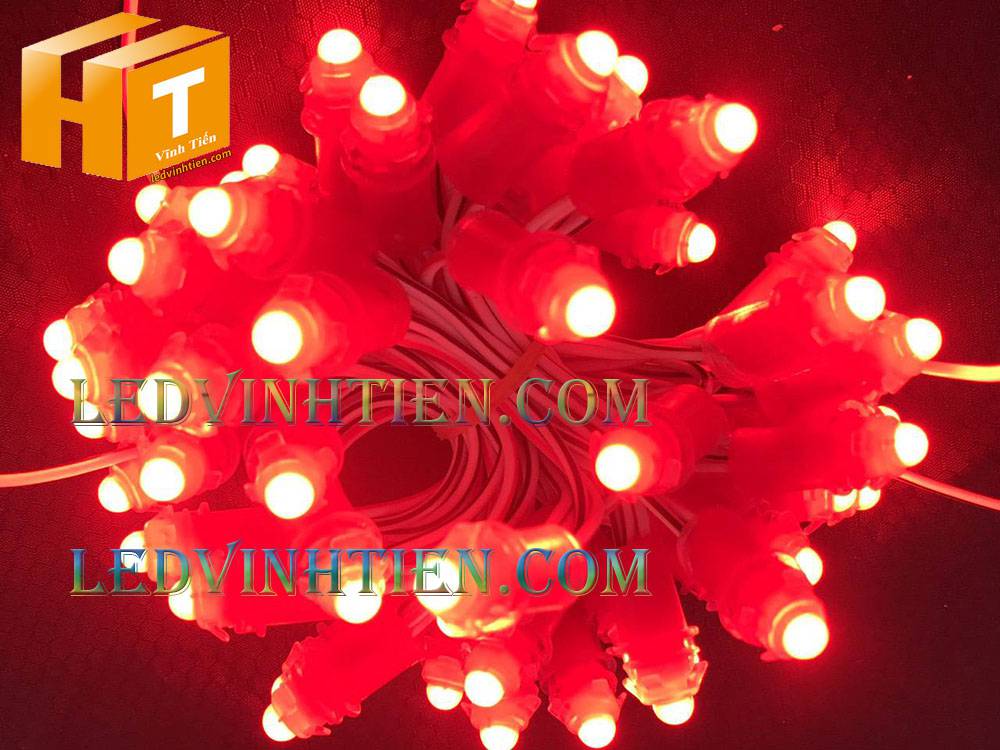 Bóng led đúc F5 đế 9mm 12V đầu đục màu đỏ, IP68, loại tốt, giá rẻ, quấn cây, chiếu sáng ngoài trời, IP68, ledvinhtien.com