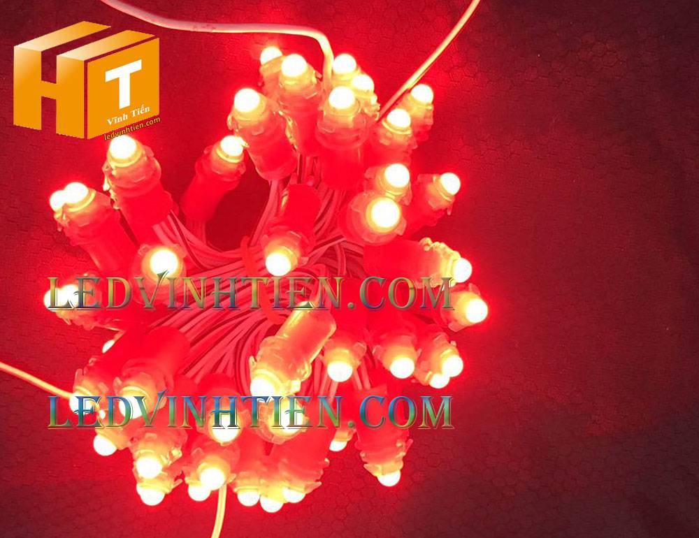 Bóng led đúc F5 đế 9mm 12V đầu đục màu đỏ, IP68, loại tốt, giá rẻ, quấn cây, chiếu sáng ngoài trời, IP68, ledvinhtien.com