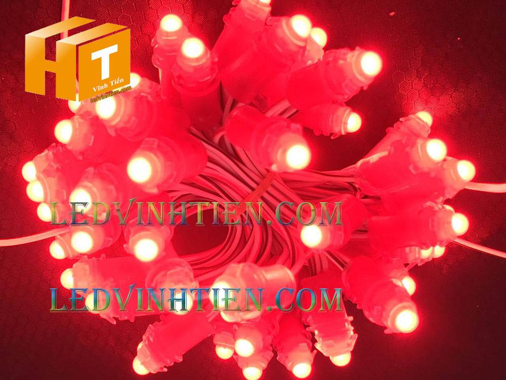 Bóng led đúc F5 đế 9mm 12V đầu đục màu đỏ, IP68, loại tốt, giá rẻ, quấn cây, chiếu sáng ngoài trời, IP68, ledvinhtien.com