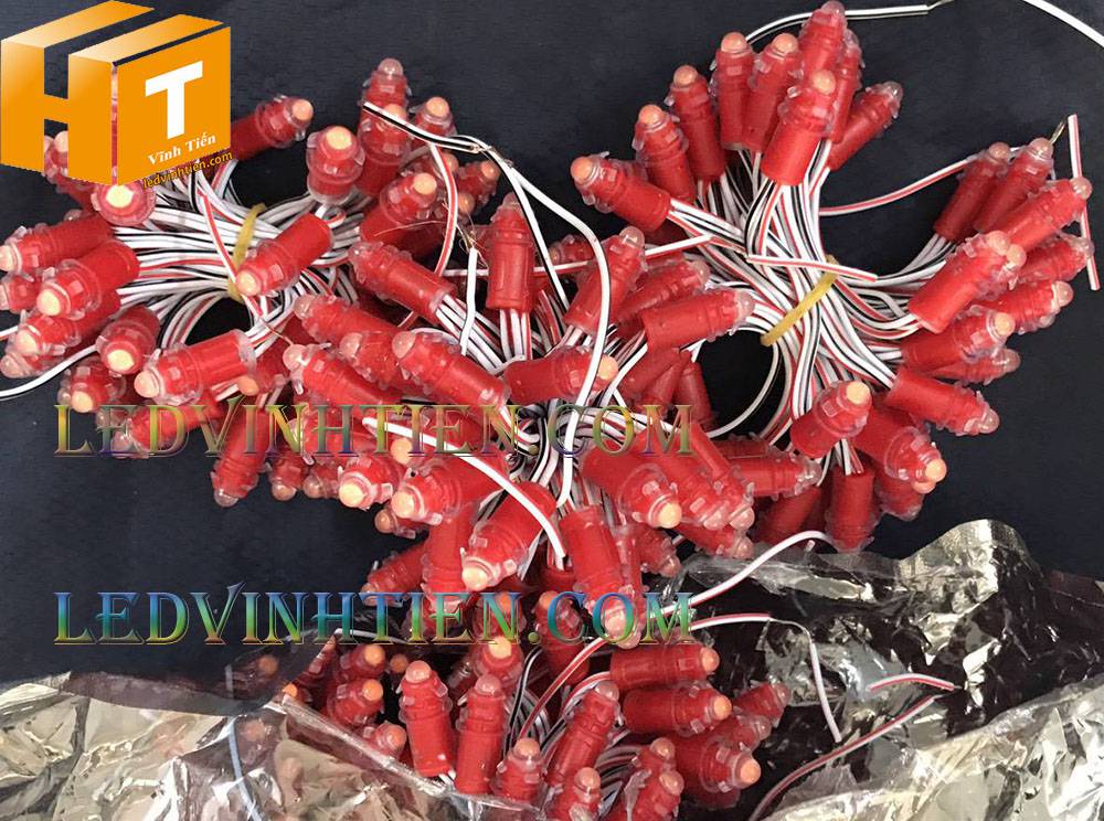 Bóng led đúc F5 đế 9mm 12V đầu đục màu đỏ, IP68, loại tốt, giá rẻ, quấn cây, chiếu sáng ngoài trời, IP68, ledvinhtien.com