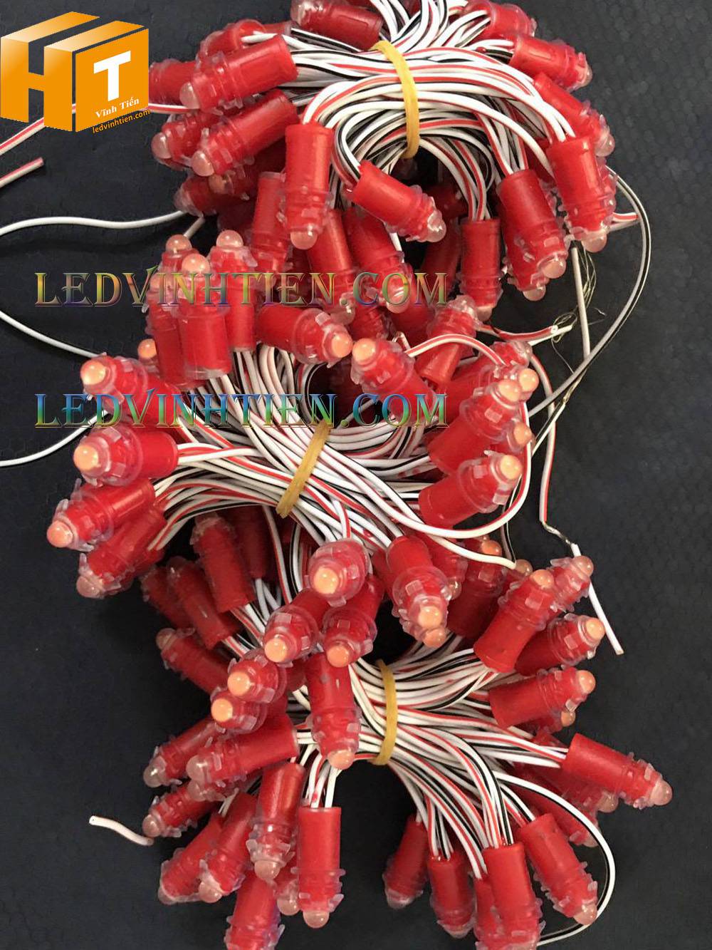 Bóng led đúc F5 đế 9mm 12V đầu đục màu đỏ, IP68, loại tốt, giá rẻ, quấn cây, chiếu sáng ngoài trời, IP68, ledvinhtien.com