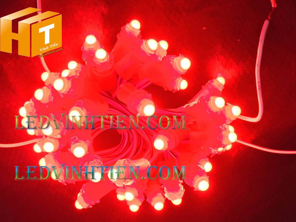 Bóng led đúc F5 đế 9mm 12V đầu đục màu đỏ, IP68, loại tốt, giá rẻ, quấn cây, chiếu sáng ngoài trời, IP68, ledvinhtien.com