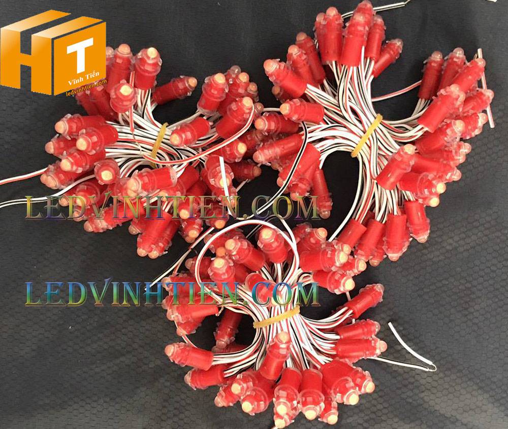 Bóng led đúc F5 đế 9mm 12V đầu đục màu đỏ, IP68, loại tốt, giá rẻ, quấn cây, chiếu sáng ngoài trời, IP68, ledvinhtien.com