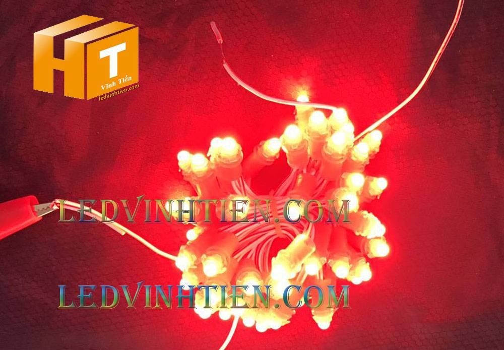 Bóng led đúc F5 đế 9mm 12V đầu đục màu đỏ, IP68, loại tốt, giá rẻ, quấn cây, chiếu sáng ngoài trời, IP68, ledvinhtien.com