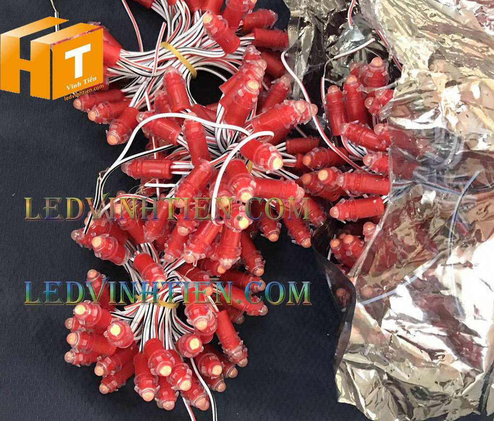 Bóng led đúc F5 đế 9mm 12V đầu đục màu đỏ, IP68, loại tốt, giá rẻ, quấn cây, chiếu sáng ngoài trời, IP68, ledvinhtien.com