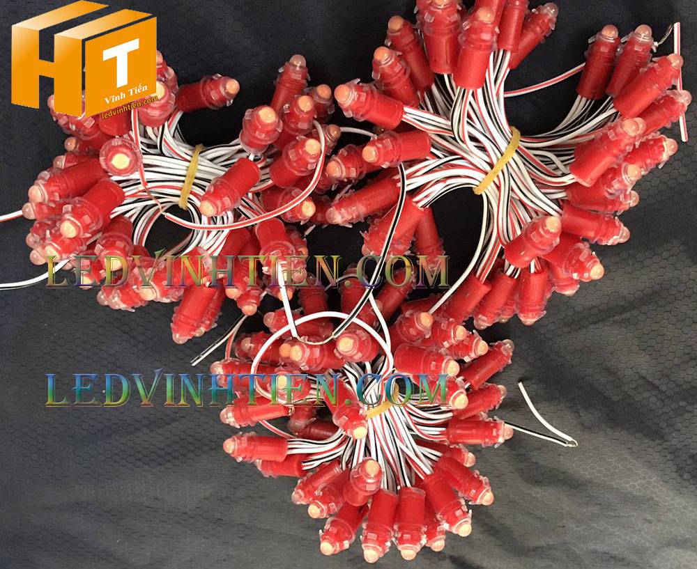 Bóng led đúc F5 đế 9mm 12V đầu đục màu đỏ, IP68, loại tốt, giá rẻ, quấn cây, chiếu sáng ngoài trời, IP68, ledvinhtien.com