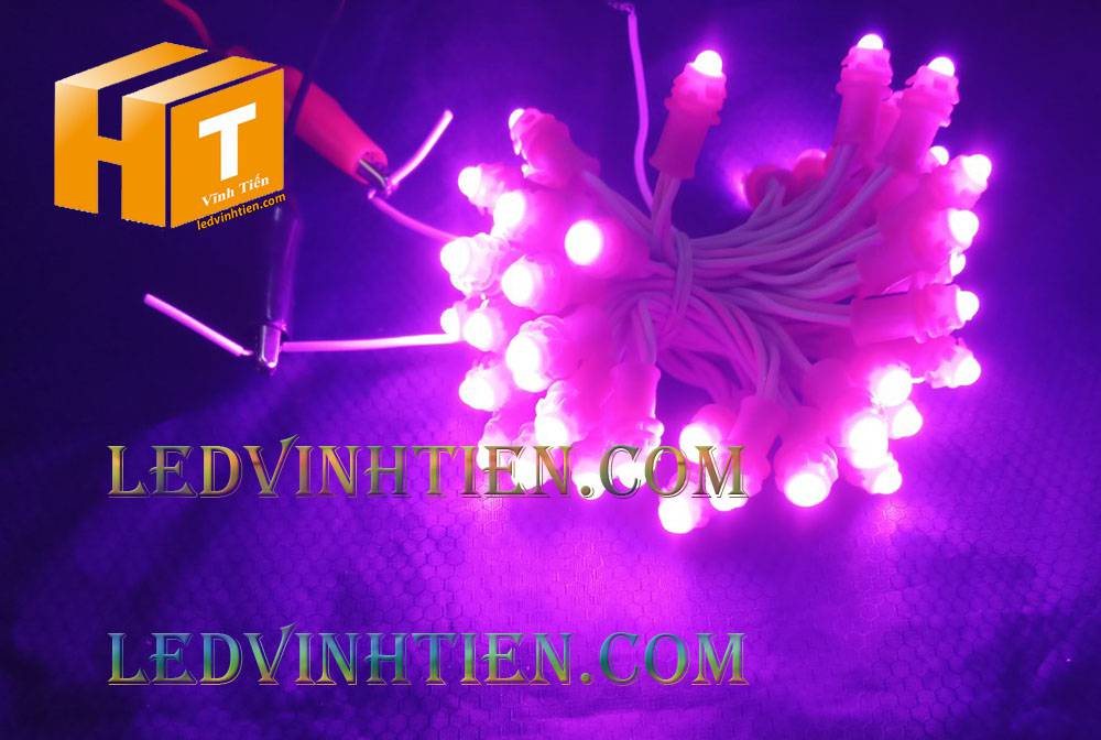 Bóng led đúc F5 đế 9mm 12V đầu đục màu đỏ, IP68, loại tốt, giá rẻ, quấn cây, chiếu sáng ngoài trời, IP68, ledvinhtien.com