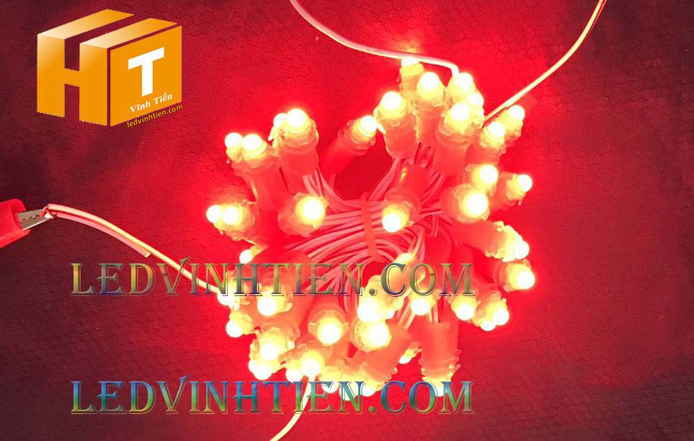 Bóng led đúc F5 đế 9mm 12V đầu đục màu đỏ, IP68, loại tốt, giá rẻ, quấn cây, chiếu sáng ngoài trời, IP68, ledvinhtien.com