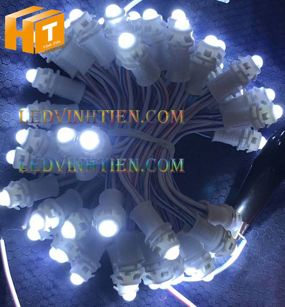 Bóng led đúc F5 đế 9mm 12V đầu đục màu đỏ, IP68, loại tốt, giá rẻ, quấn cây, chiếu sáng ngoài trời, IP68, ledvinhtien.com