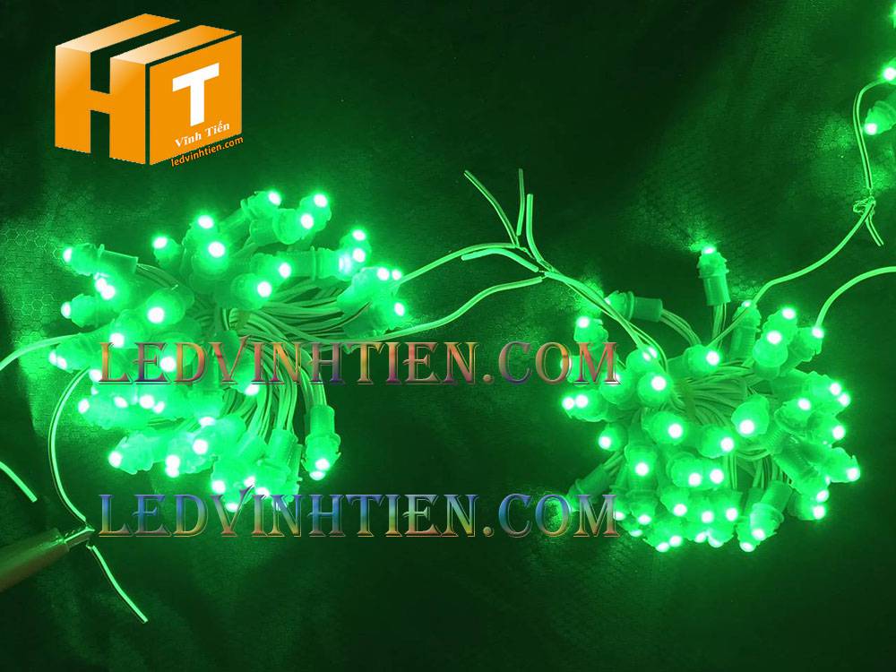 Bóng led đúc F5 đế 9mm 12V đầu đục màu đỏ, IP68, loại tốt, giá rẻ, quấn cây, chiếu sáng ngoài trời, IP68, ledvinhtien.com