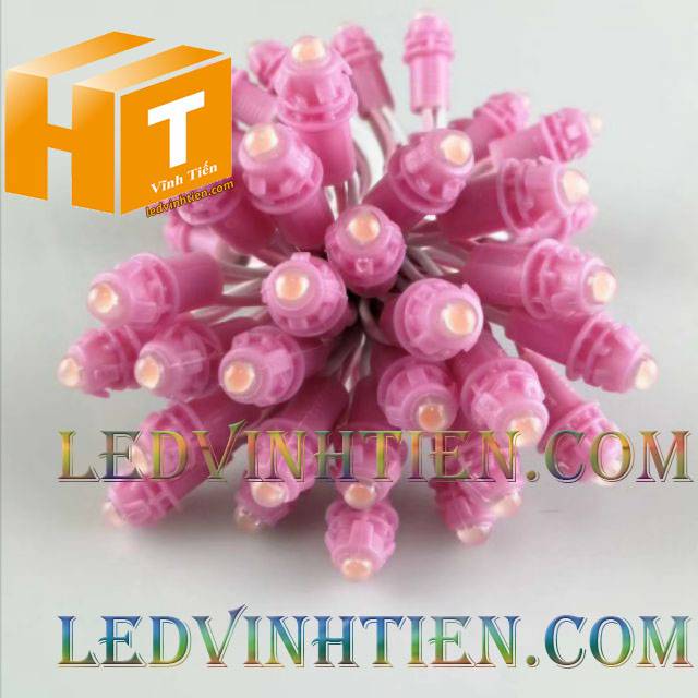 Bóng led đúc F5 đế 9mm 12V đầu đục màu hồng, IP68, loại tốt, giá rẻ, quấn cây, chiếu sáng ngoài trời, IP68, ledvinhtien.com