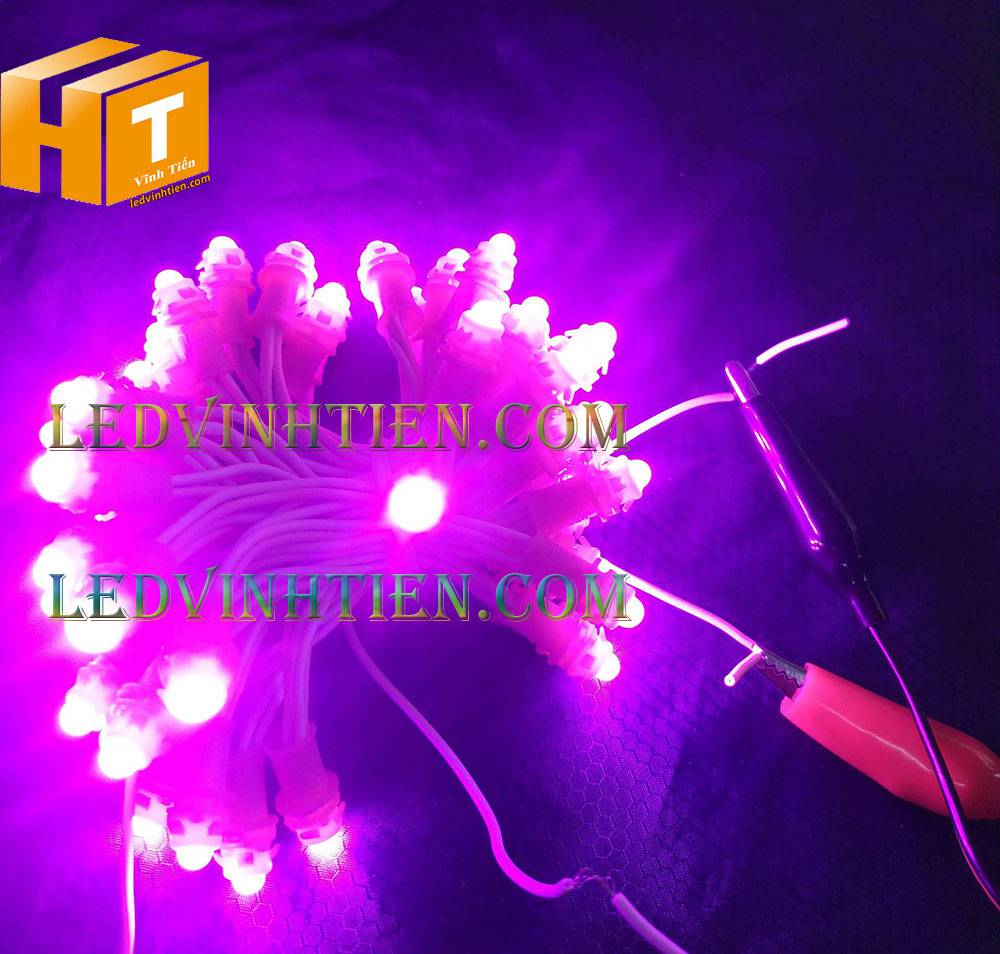 Bóng led đúc F5 đế 9mm 12V đầu đục màu hồng, IP68, loại tốt, giá rẻ, quấn cây, chiếu sáng ngoài trời, IP68, ledvinhtien.com