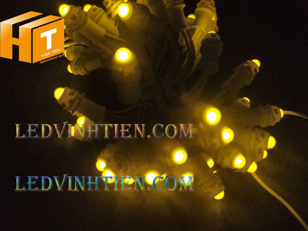 Bóng led đúc F5 đế 9mm 12V đầu đục màu hồng, IP68, loại tốt, giá rẻ, quấn cây, chiếu sáng ngoài trời, IP68, ledvinhtien.com