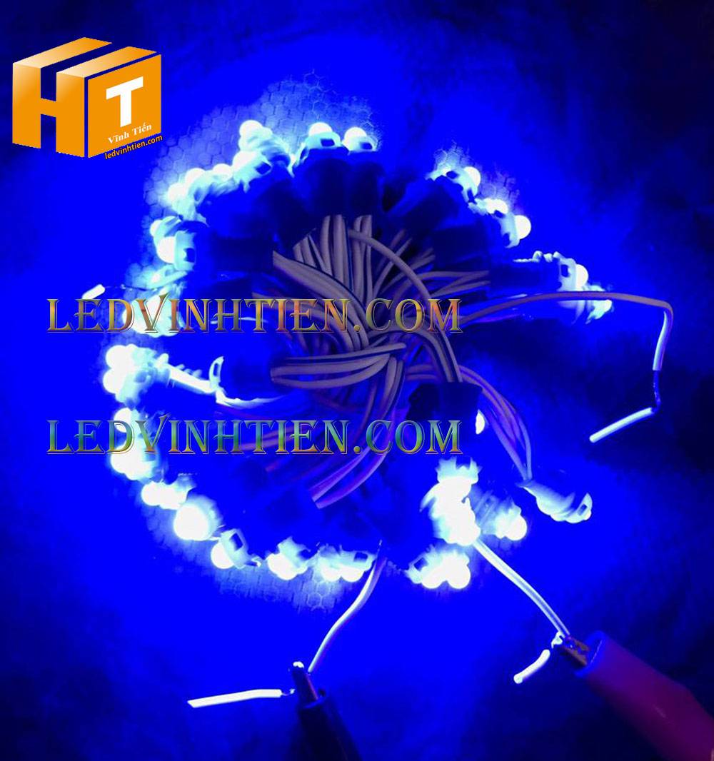 Bóng led đúc F5 đế 9mm 12V đầu đục màu hồng, IP68, loại tốt, giá rẻ, quấn cây, chiếu sáng ngoài trời, IP68, ledvinhtien.com