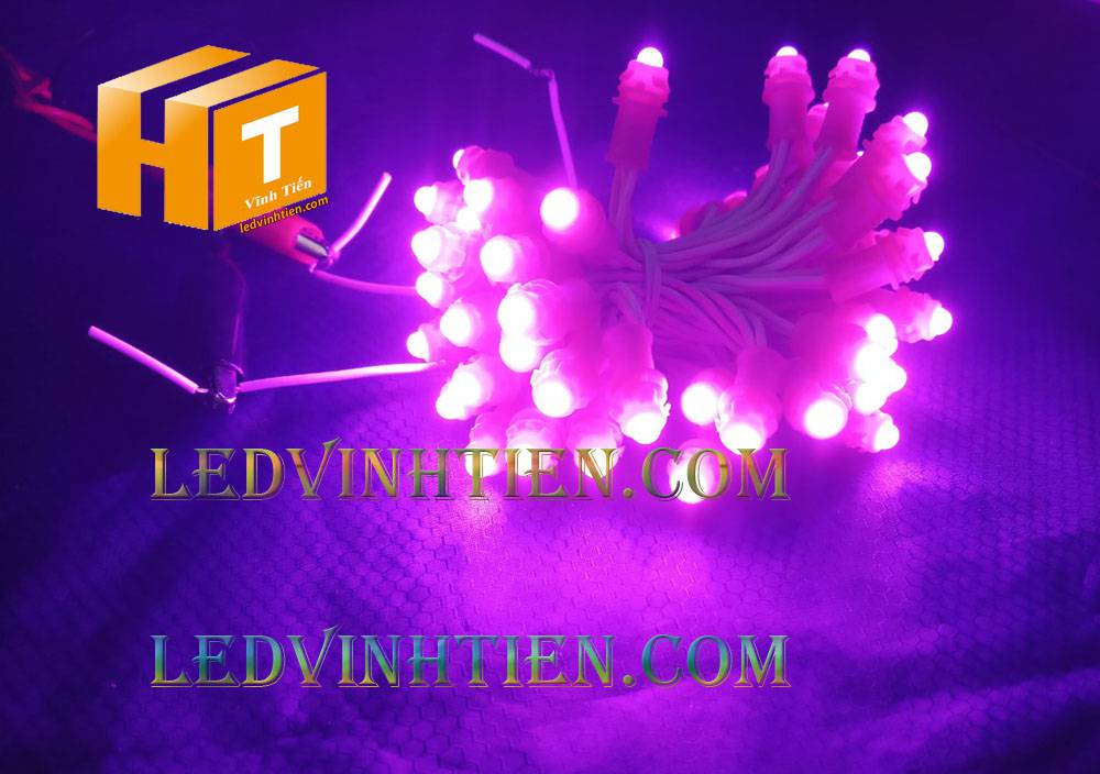 Bóng led đúc F5 đế 9mm 12V đầu đục màu hồng, IP68, loại tốt, giá rẻ, quấn cây, chiếu sáng ngoài trời, IP68, ledvinhtien.com