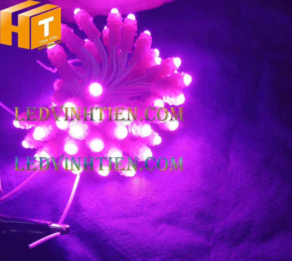 Bóng led đúc F5 đế 9mm 12V đầu đục màu hồng, IP68, loại tốt, giá rẻ, quấn cây, chiếu sáng ngoài trời, IP68, ledvinhtien.com