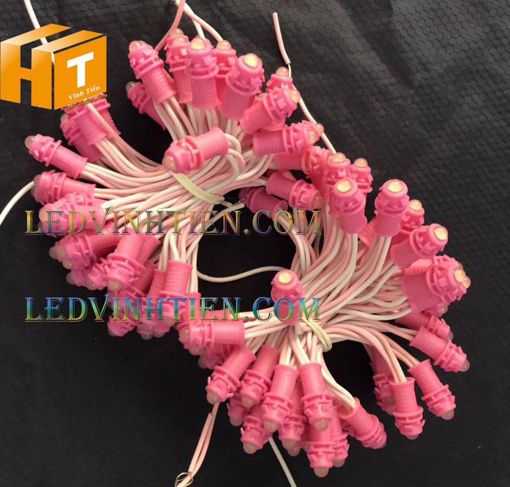 Bóng led đúc F5 đế 9mm 12V đầu đục màu hồng, IP68, loại tốt, giá rẻ, quấn cây, chiếu sáng ngoài trời, IP68, ledvinhtien.com