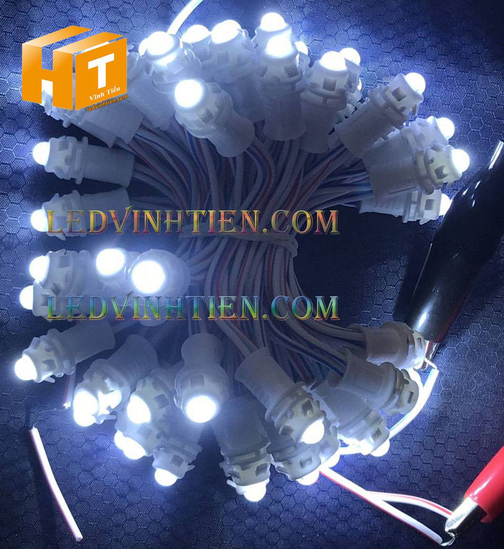 Bóng led đúc F5 đế 9mm 12V đầu đục màu hồng, IP68, loại tốt, giá rẻ, quấn cây, chiếu sáng ngoài trời, IP68, ledvinhtien.com