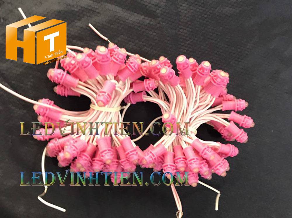 Bóng led đúc F5 đế 9mm 12V đầu đục màu hồng, IP68, loại tốt, giá rẻ, quấn cây, chiếu sáng ngoài trời, IP68, ledvinhtien.com