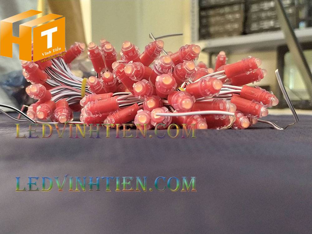 Bóng led đúc F5 đế 9mm 12V đầu đục màu hồng, IP68, loại tốt, giá rẻ, quấn cây, chiếu sáng ngoài trời, IP68, ledvinhtien.com