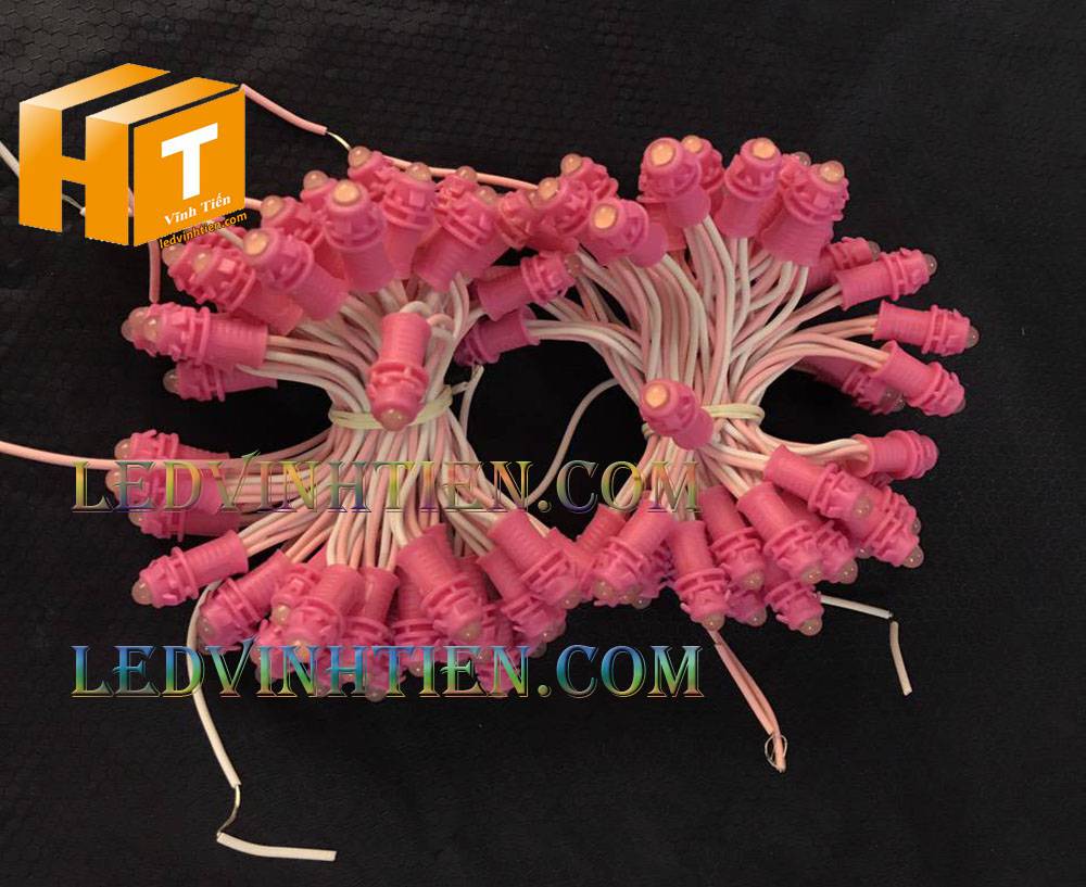 Bóng led đúc F5 đế 9mm 12V đầu đục màu hồng, IP68, loại tốt, giá rẻ, quấn cây, chiếu sáng ngoài trời, IP68, ledvinhtien.com