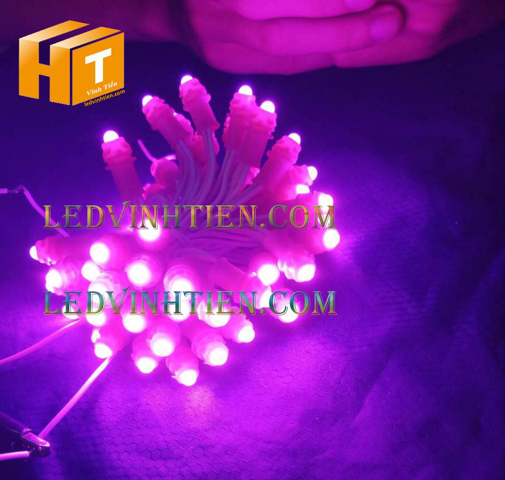 Bóng led đúc F5 đế 9mm 12V đầu đục màu hồng, IP68, loại tốt, giá rẻ, quấn cây, chiếu sáng ngoài trời, IP68, ledvinhtien.com