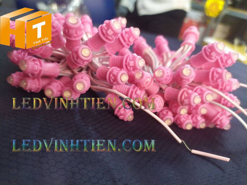 Bóng led đúc F5 đế 9mm 12V đầu đục màu hồng, IP68, loại tốt, giá rẻ, quấn cây, chiếu sáng ngoài trời, IP68, ledvinhtien.com