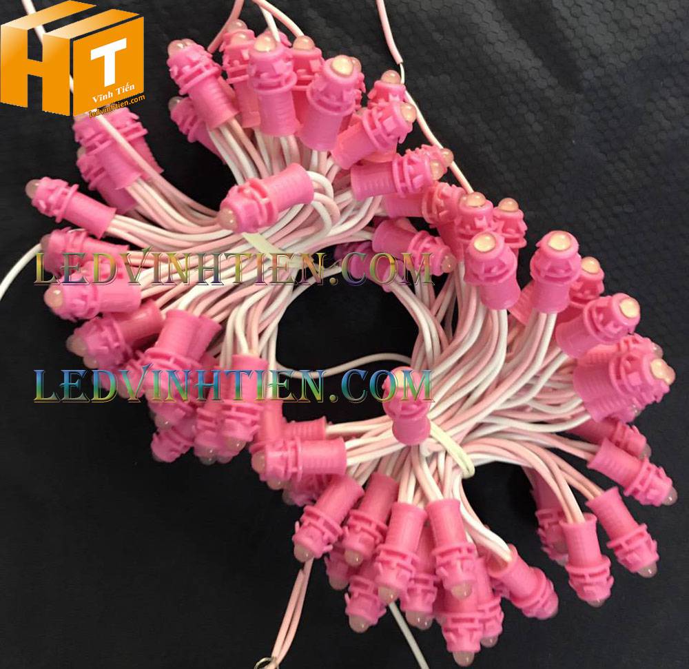 Bóng led đúc F5 đế 9mm 12V đầu đục màu hồng, IP68, loại tốt, giá rẻ, quấn cây, chiếu sáng ngoài trời, IP68, ledvinhtien.com