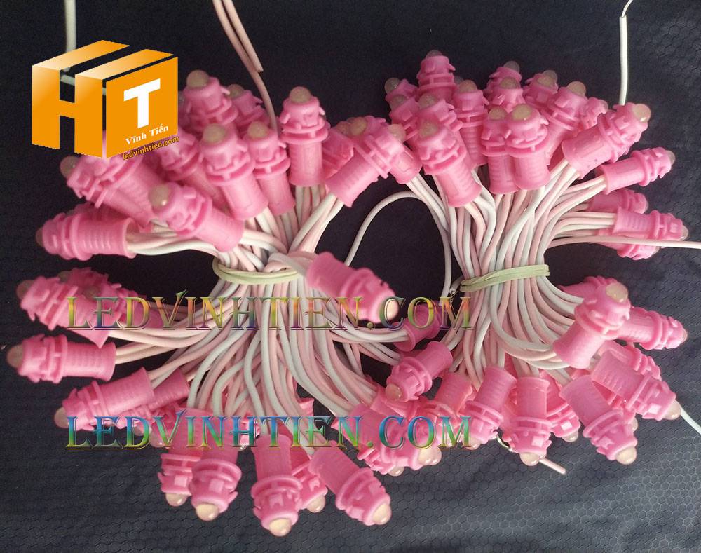 Bóng led đúc F5 đế 9mm 12V đầu đục màu hồng, IP68, loại tốt, giá rẻ, quấn cây, chiếu sáng ngoài trời, IP68, ledvinhtien.com