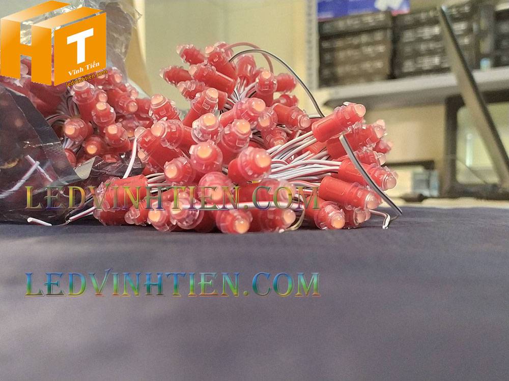 Bóng led đúc F5 đế 9mm 12V đầu đục màu hồng, IP68, loại tốt, giá rẻ, quấn cây, chiếu sáng ngoài trời, IP68, ledvinhtien.com