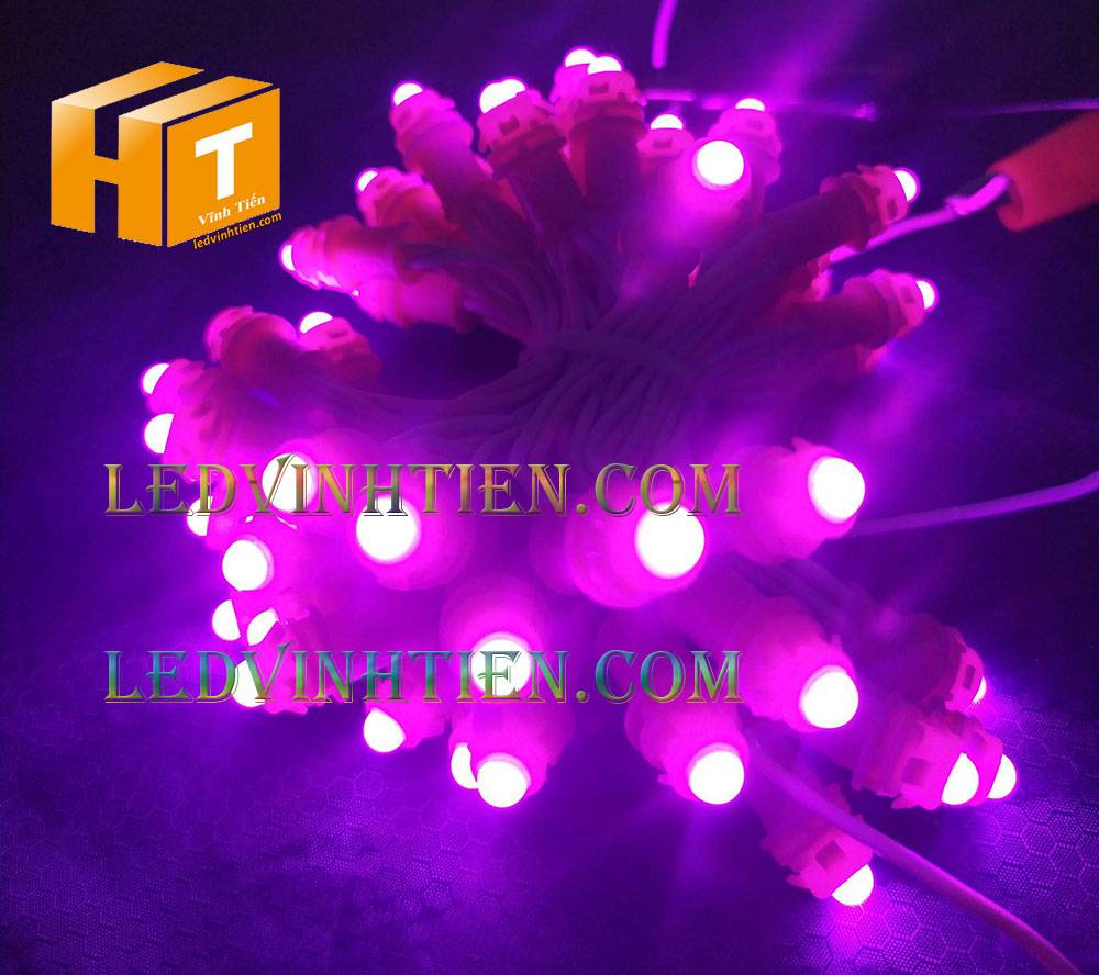 Bóng led đúc F5 đế 9mm 12V đầu đục màu hồng, IP68, loại tốt, giá rẻ, quấn cây, chiếu sáng ngoài trời, IP68, ledvinhtien.com