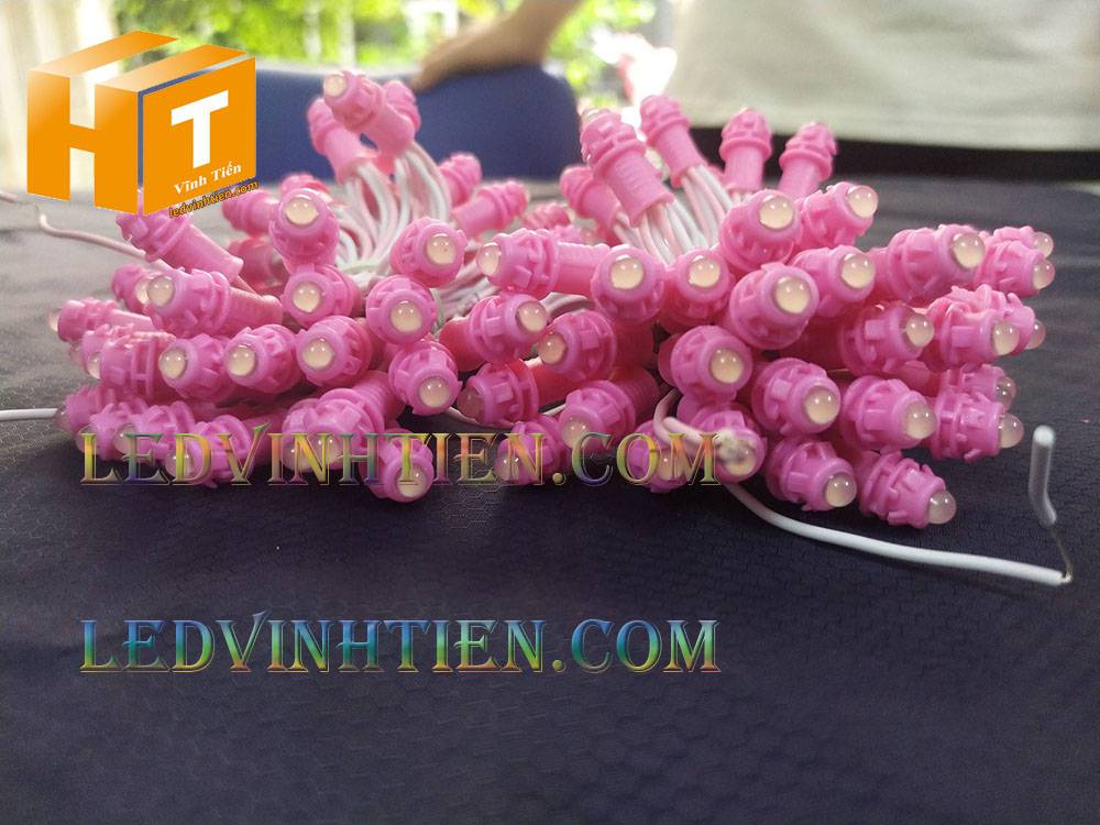 Bóng led đúc F5 đế 9mm 12V đầu đục màu hồng, IP68, loại tốt, giá rẻ, quấn cây, chiếu sáng ngoài trời, IP68, ledvinhtien.com